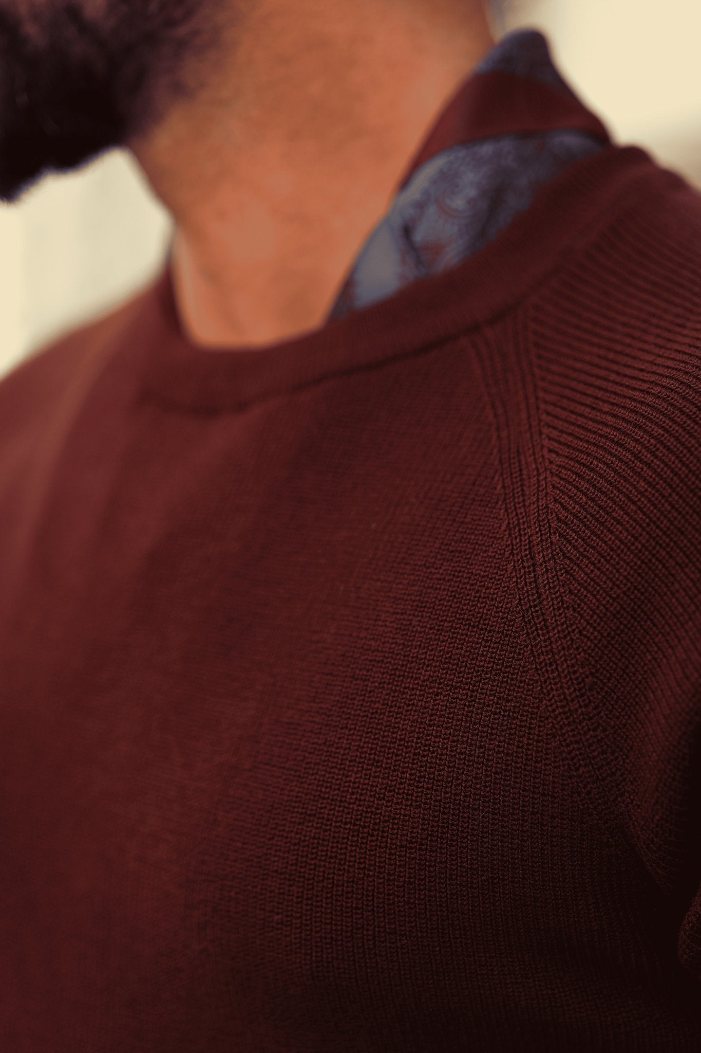 Strickpullover in Bordeaux – 100% reine Baumwolle, Rundhalsausschnitt, Regular Fit